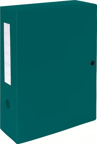 Exacompta Carpeta De Proyectos Exabox Lomo 100Mm C/Broche 7/10º Pp Opaco Verde