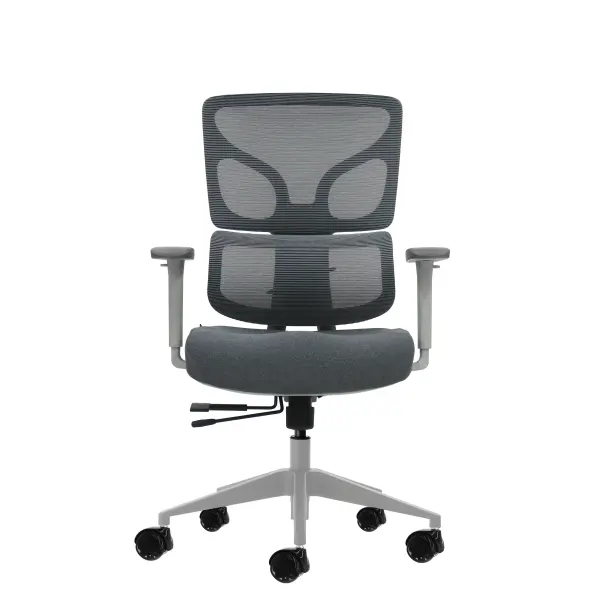 Oqonos Cherg 015 Silla de Oficina Ergonomica con Respaldo de Malla y Reposabrazos 4D - Gris