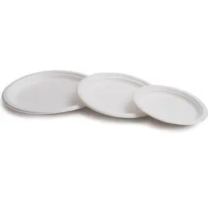 Plato Biodegradable Caña De Azúcar 17cm Pack 50 Blanco