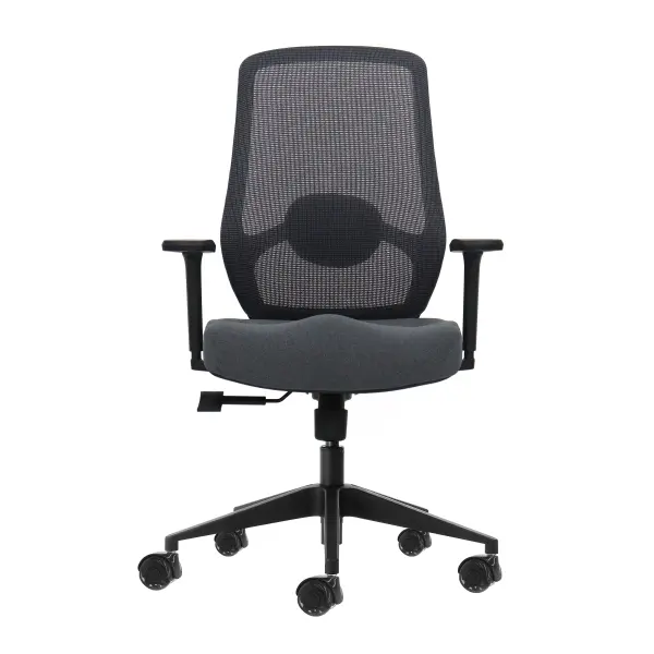 Oqonos Cherg 025 Silla de Oficina Ergonomica con Soporte Lumbar Ajustable y Reposabrazos 4D