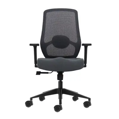 Oqonos Cherg 025 Silla de Oficina Ergonomica con Soporte Lumbar Ajustable y Reposabrazos 4D