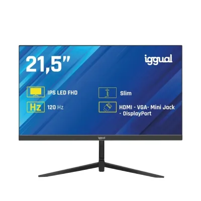iggual Monitor 21.5" IPS FHD 120Hz 1ms VGA HDMI DP
