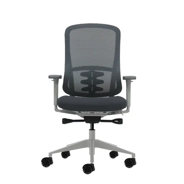 Oqonos Cherg 023 Silla de Oficina Ergonomica con Mecanismo Autobalanceado y Reposabrazos 4D - Gris