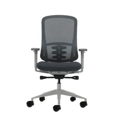 Oqonos Cherg 023 Silla de Oficina Ergonomica con Mecanismo Autobalanceado y Reposabrazos 4D - Gris