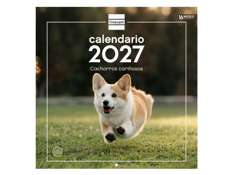 Finocam Calendario de Pared 16 Meses 300x300mm Papel 170g/m2 Temáticas Surtidas