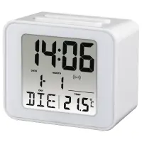 Miniatura 1