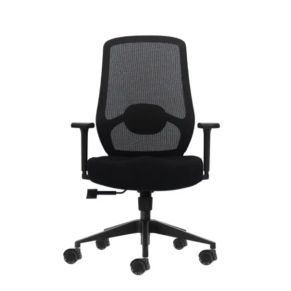 Oqonos Cherg 024 Silla de Oficina Ergonomica con Soporte Lumbar Ajustable y Reposabrazos 4D