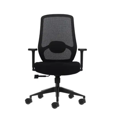 Oqonos Cherg 024 Silla de Oficina Ergonomica con Soporte Lumbar Ajustable y Reposabrazos 4D