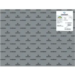 Iris Cartulina Gris Plomo 50X65cm 185gr - Paquete de 25 Unidades