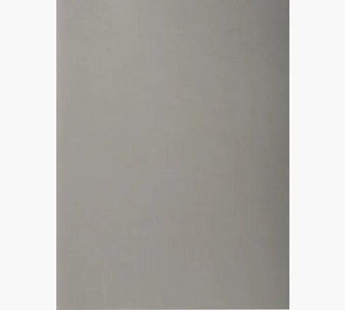 Exacompta Subcarpetas A4 Forever Color Gris 220Gr -100U-