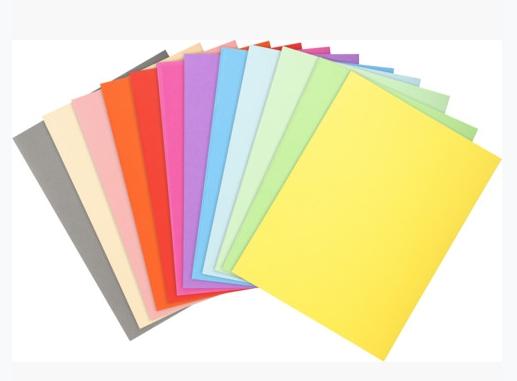 Exacompta Subcarpetas A4 Forever Colores Surtidos 220Gr -100U-