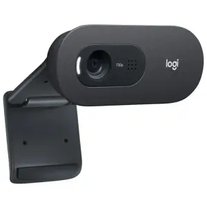 Logitech Webcam C505E 1280x720 Negro