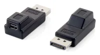 Miniatura 1