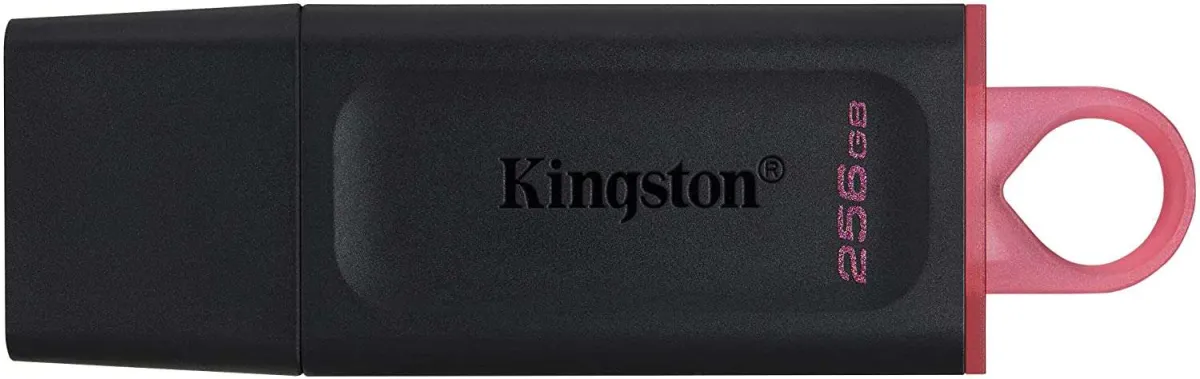 Kingston Memoria USB 256GB DTX/256 USB 3.2 - Almacenamiento Rápido