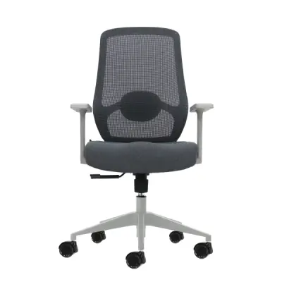 Oqonos Cherg 003 Silla de Oficina Ergonomica con Soporte Lumbar y Respaldo de Malla - Gris