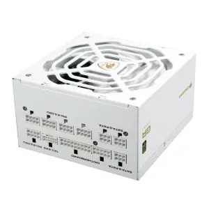 Cougar GR 1000 Snow Fuente de Alimentación 80+ Gold