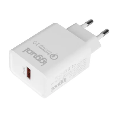 iggual Cargador 1xUSB-A Carga Rápida QC3.0 18W