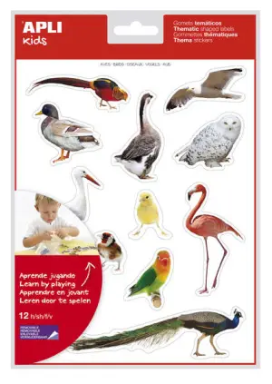 Apli Gomets Temáticos Realistas de Aves - 144 Gomets en 12 Hojas - Adhesivo Removible