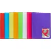 Grafoplás Carpeta Poliplás Translúcida con 20 Fundas Soldadas Folio Rojo