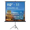 iggual Pantalla 112" 200x200 cm 1:1 con Trípode y Bolsa