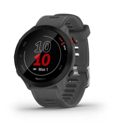 Garmin 010-02562-13 Relojes Inteligentes Y Deportivos Mip 42 Mm Gris Gps (Satélite)