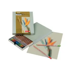 Talens Bruynzeel Lápices De Colores Pastel Surtidos Estuche De Lujo 12 Ud