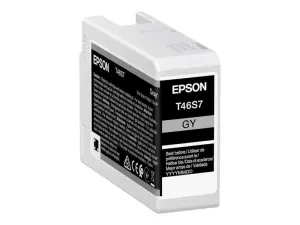 Epson T46S7 Cartucho de Tinta Original Gris