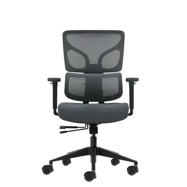 Oqonos Cherg 013 Silla de Oficina Ergonomica con Respaldo de Malla y Reposabrazos 4D - Gris