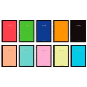 PACSA CUADERNO PLASTIPAC SERIE LUX 80H FOLIO 100GR 4X4MM TAPA PP C/SURTIDOS VIVOS/PASTEL