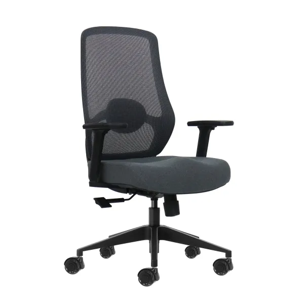 Oqonos Cherg 025 Silla De Oficina Ergonomica Con Soporte Lumbar Ajustable En Altura Y Profundidad, Reposabrazos 4D, Piston De Gas Clase 4, Asiento Ergonomico Moldeado Y Ruedas De Silicona - Gris Con Estructura Negra
