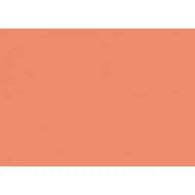Iris Cartulina 297X420Mm 185Gr Coral -50U-