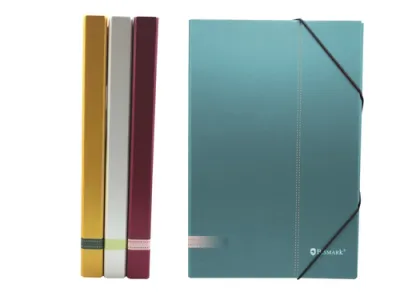 Bismark Carpeta Para Proyectos - Medidas 350X230X30Mm - Fabricada En Carton - Cierre Con Gomas - Colores Surtidos