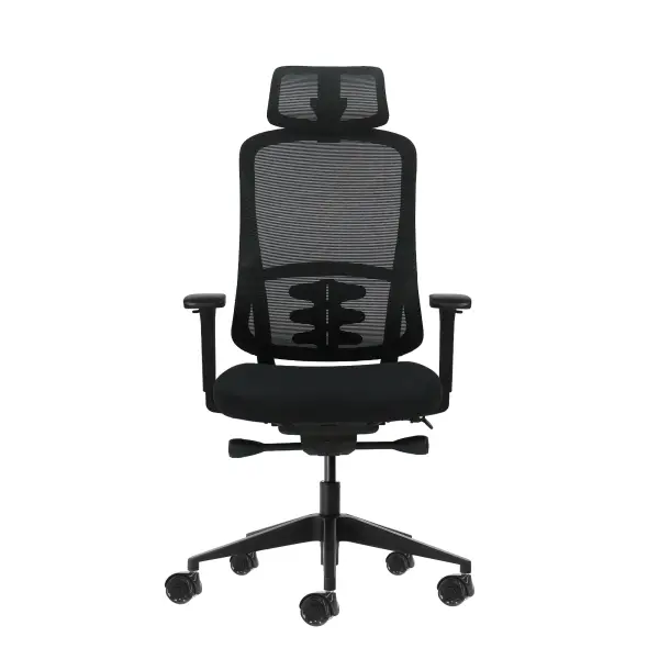 Oqonos Cherg 018 Silla de Oficina Ergonomica con Reposacabezas Ajustable y Reposabrazos 4D