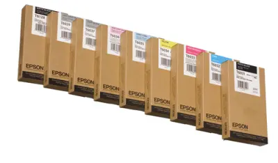Epson T6031 Cartucho de Tinta Pigmentada Negro Photo - Reemplazo C13T603100