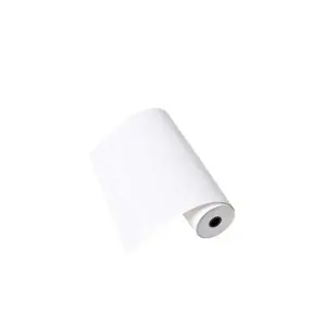 Brother Pack de 6 Rollos de Papel Térmico Continuo A4 de 30 Metros Original