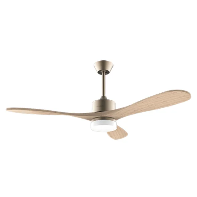 Cecotec Ventilador Oro 05983 para Hogar y Cocina