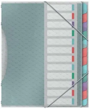 Esselte Clasificador Colour'Breeze con 12 Pestañas Multicolor A4 - Polipropileno Translúcido