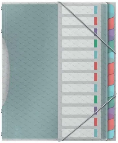 Esselte Clasificador Colour'Breeze con 12 Pestañas Multicolor A4 - Polipropileno Translúcido
