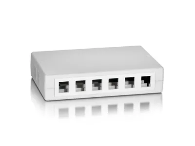 Equip Caja De Superficie Keystone Para 12 Rosetas 125460