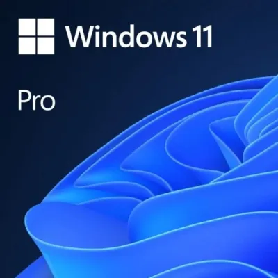 Microsoft Windows 11 Profesional 64 Bits OEM Software