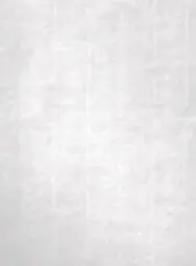 Apli Papel Textura Verjurado Blanco 100 Gr A4 100 Hojas