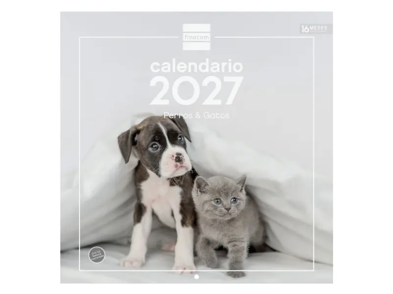 Finocam Calendario de Pared para Perros y Gatos - 16 Meses 300x300mm