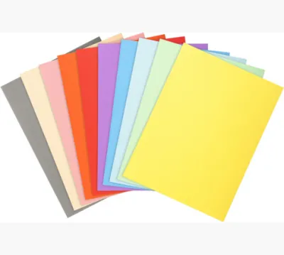 Exacompta Subcarpetas A4 Colores Surtidos 220g - Paquete de 100 Unidades