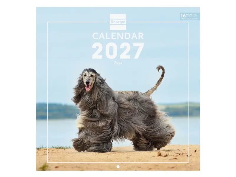 Finocam Calendario de Pared Internacional 16 Meses 300x300mm Papel 170g/m2