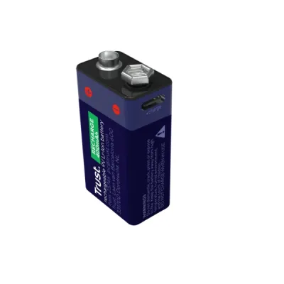 Trust Pilas Recargables 9V USB-C Blister 1 Unidad (Ecotasas Incluidas)