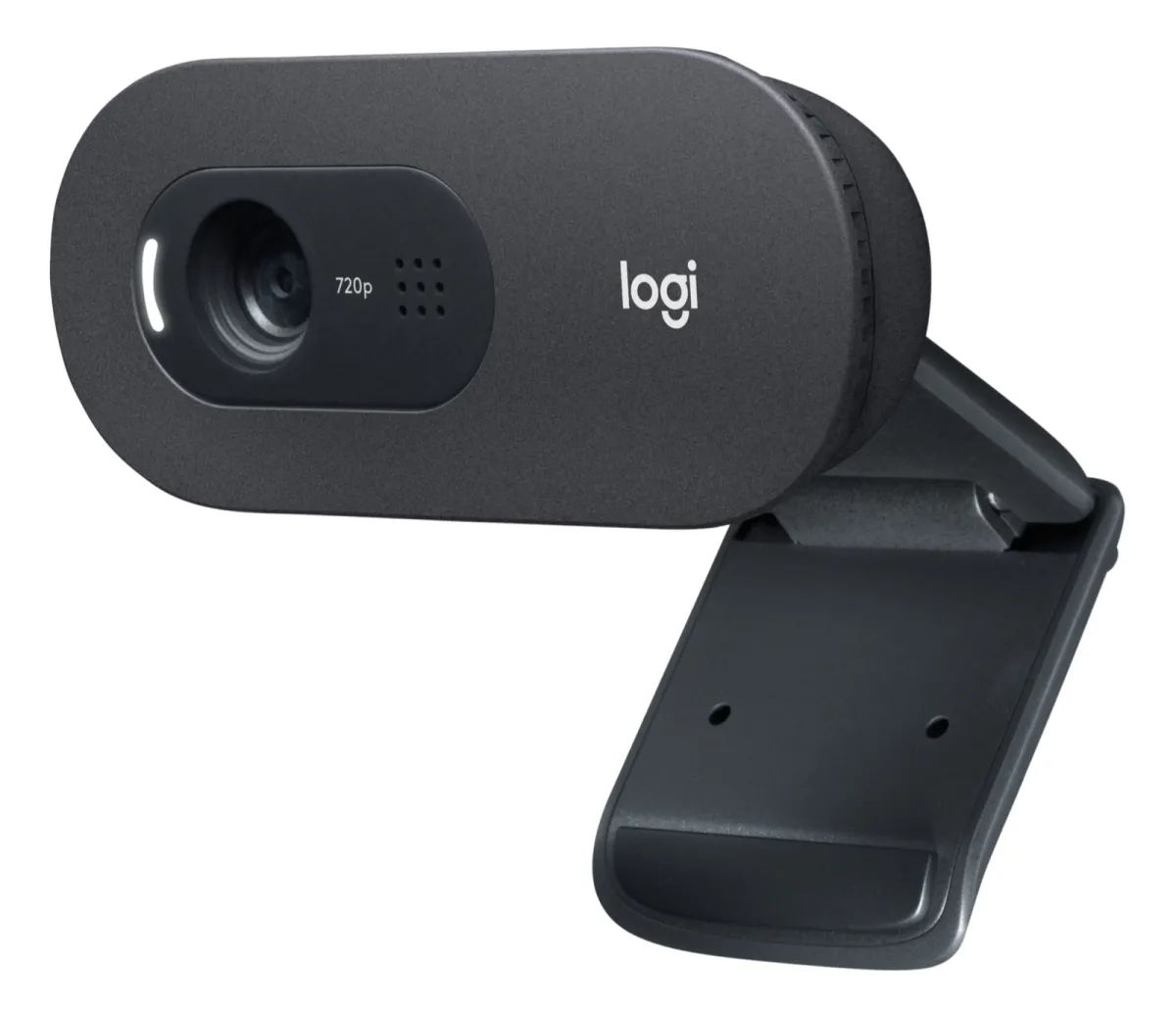Logitech Webcam C505E 1280x720 Negro
