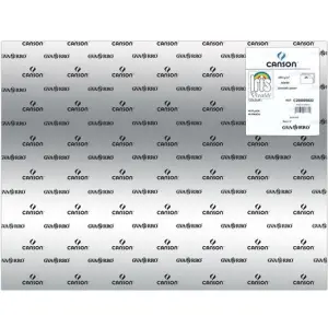 Iris Cartulina Gris Plata 50X65cm 280gr - Paquete de 25 Unidades