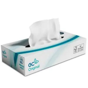 GC Pañuelos Faciales 2 Capas Caja 100 Unidades Blanco
