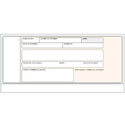 Loan Talonario Recibos Normalizados Banco Sin Copia
