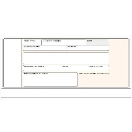 Loan Talonario Recibos Normalizados Banco Sin Copia